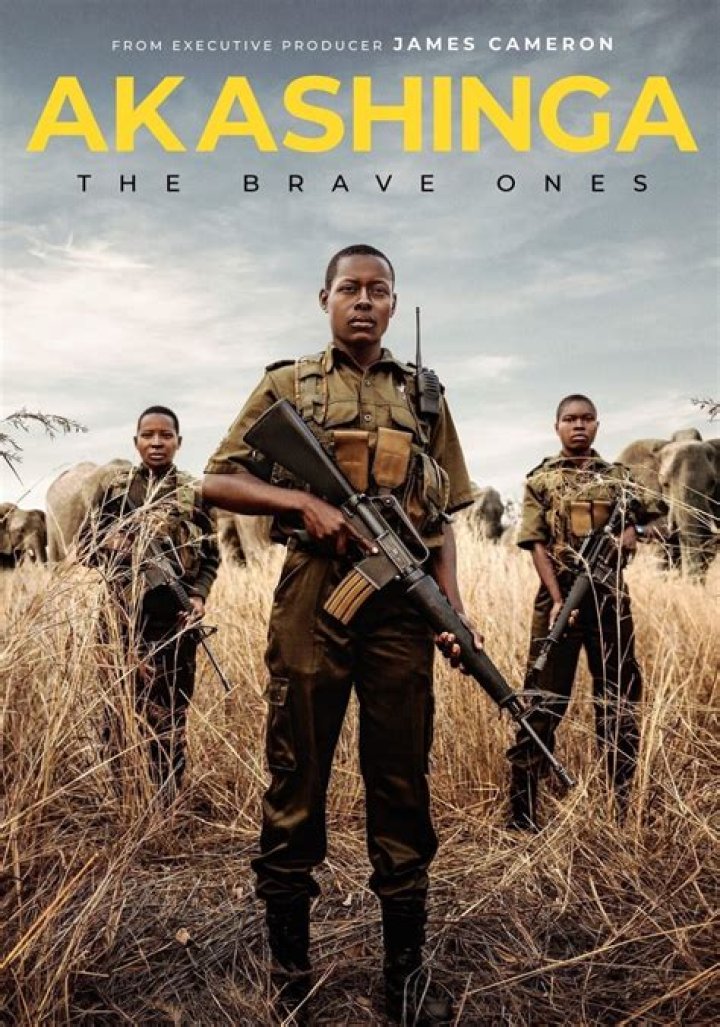 where can i watch akashinga: the brave ones
