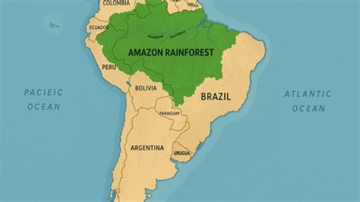 where can you find a rainforest in europe?