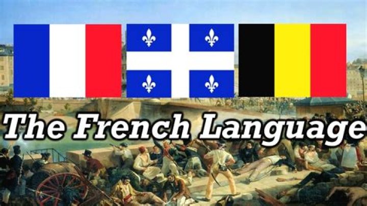 where did the french language come from