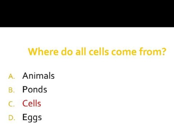 where do all cells come from