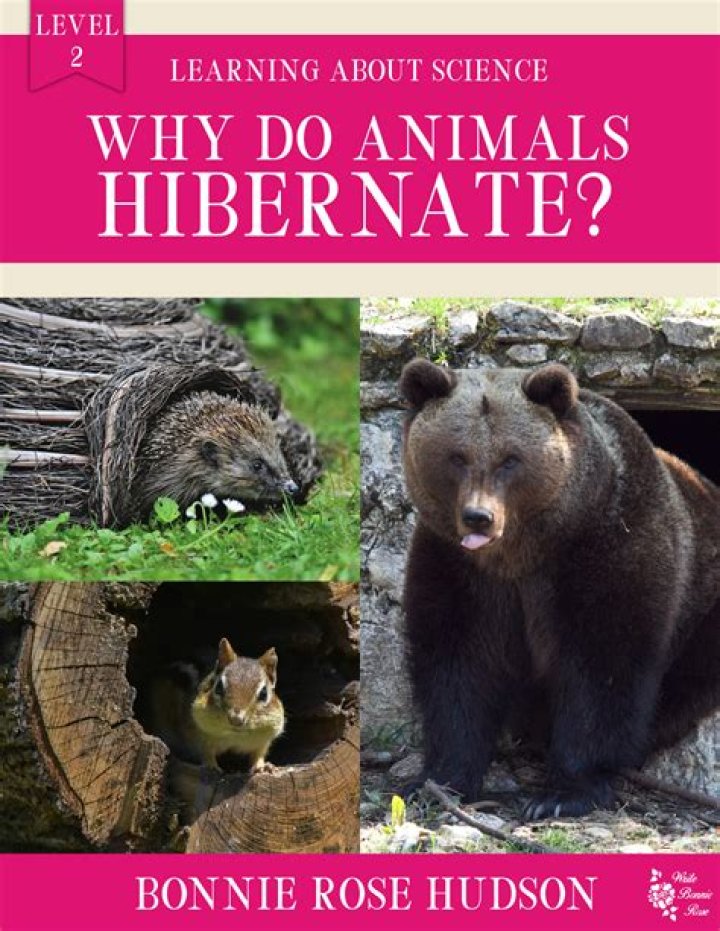 where do animals hibernate - Lisbd-net.com