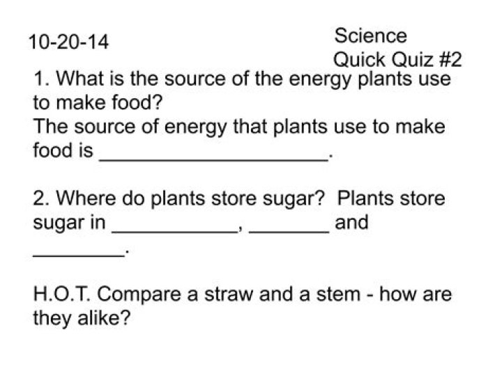 where do plants store sugar