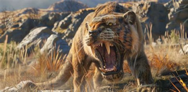 where does a saber tooth tiger live