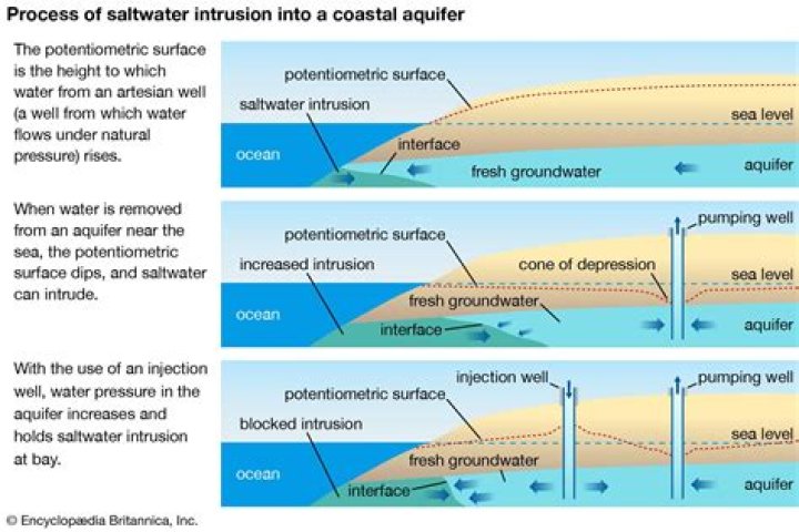where fresh and saltwater mix in coastal estuaries they form