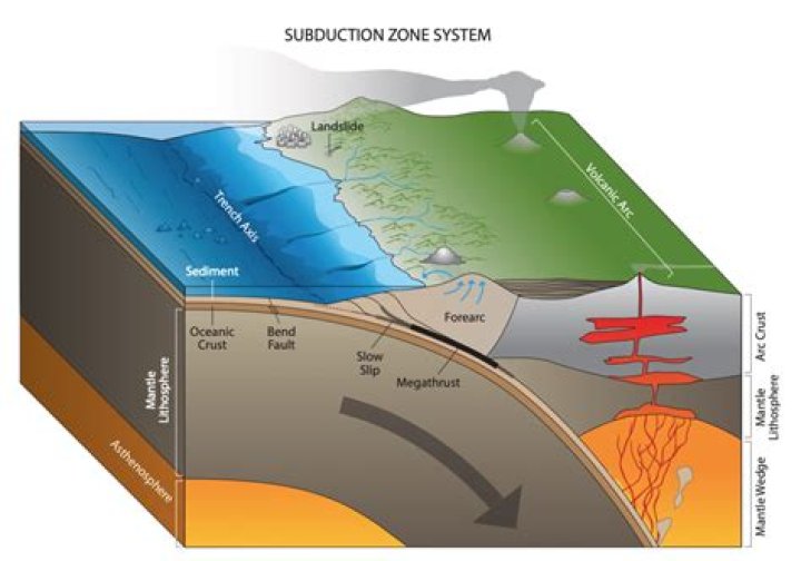 where is a subduction zone most likely to form