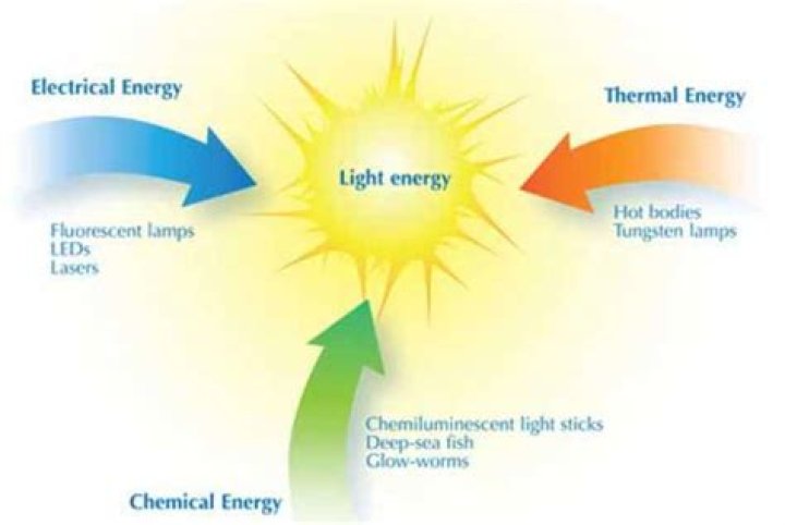 where is light energy converted to chemical energy