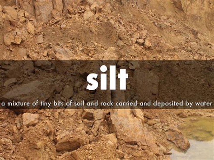 where is silt usually found