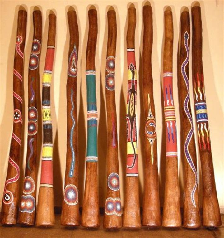 where is the didgeridoo from