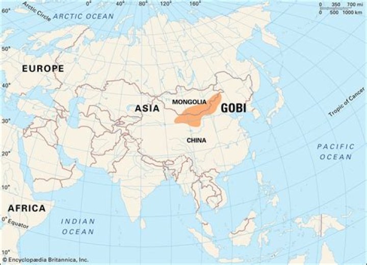 where is the gobi desert on a world map