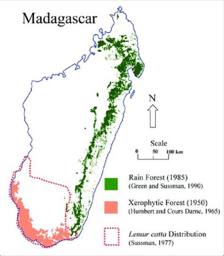 where is the madagascar rainforest located