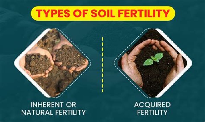 where is the most fertile soil in the us