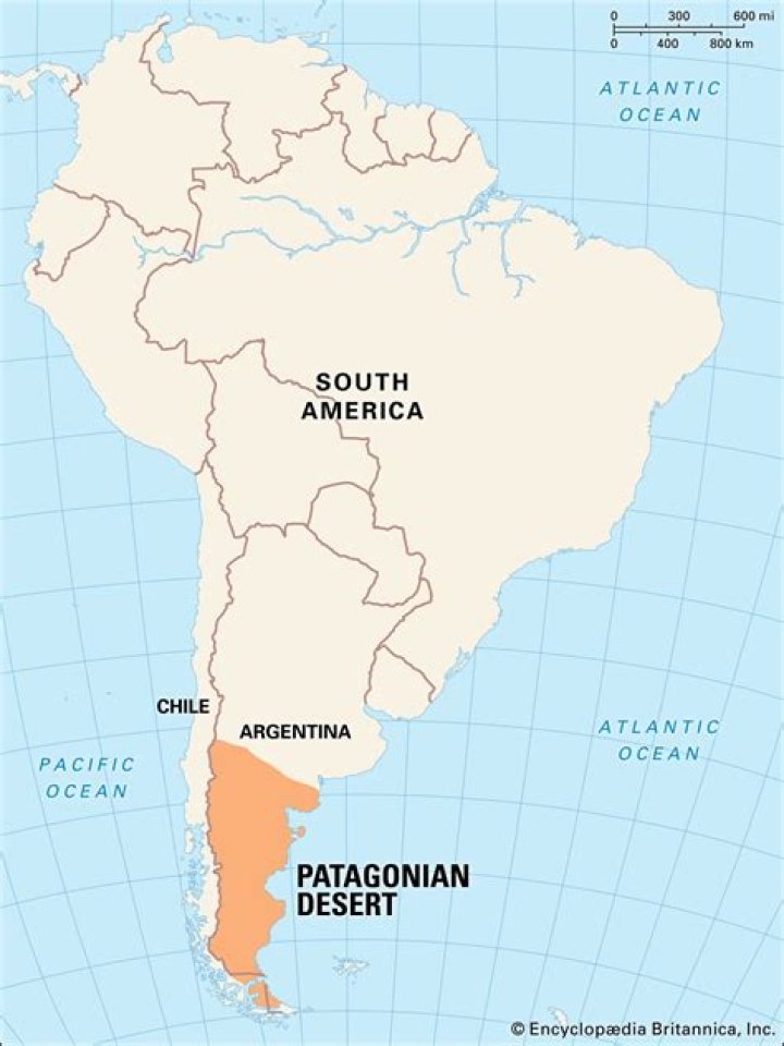 where is the patagonian desert located
