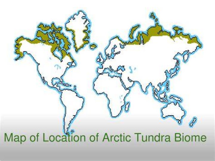 where is the tundra located in canada