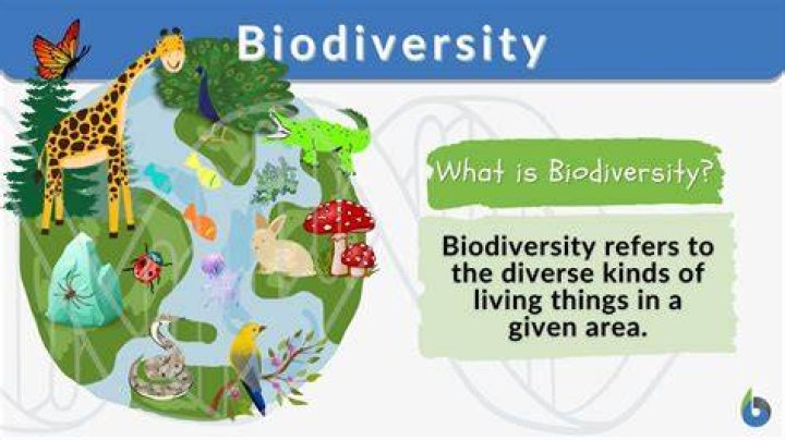 where on earth is biodiversity the greatest