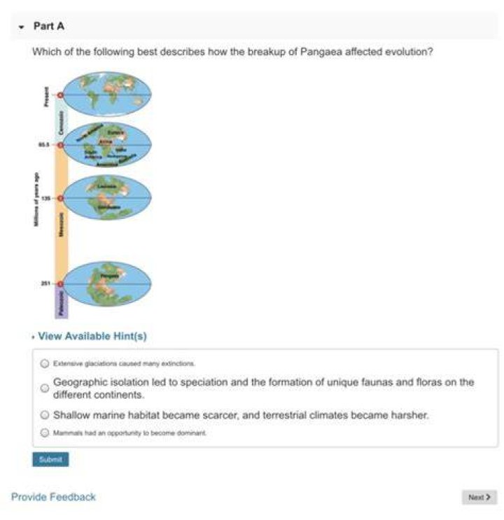 which of the following best describes how the breakup of pangaea affected evolution?