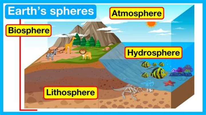 which of the following best explains why the biosphere is a key component of the earthâ€™s systems?