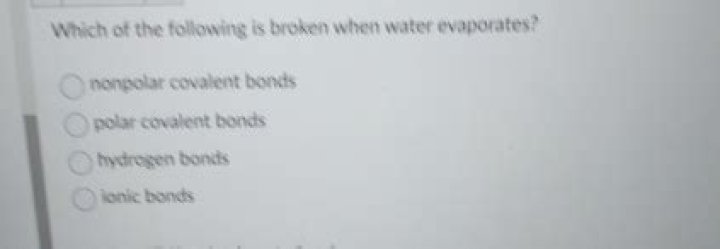which of the following is broken when water evaporates?