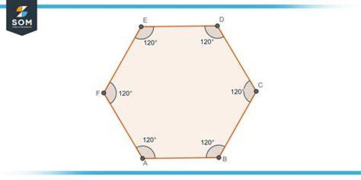which one of these is not a step used when constructing an inscribed hexagon using technology?