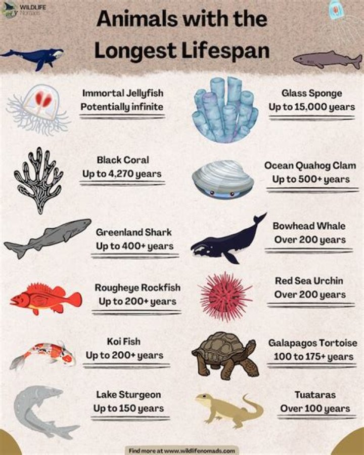 which organism survives the longest exposure why