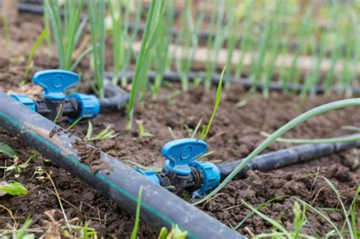 who invented drip irrigation - Lisbd-net.com