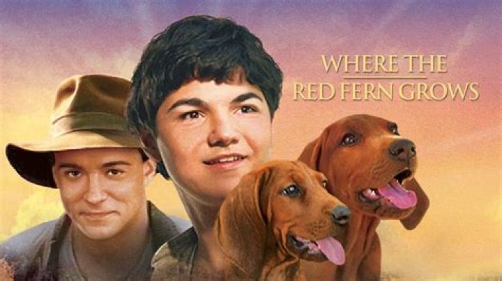 who is the author of where the red fern grows