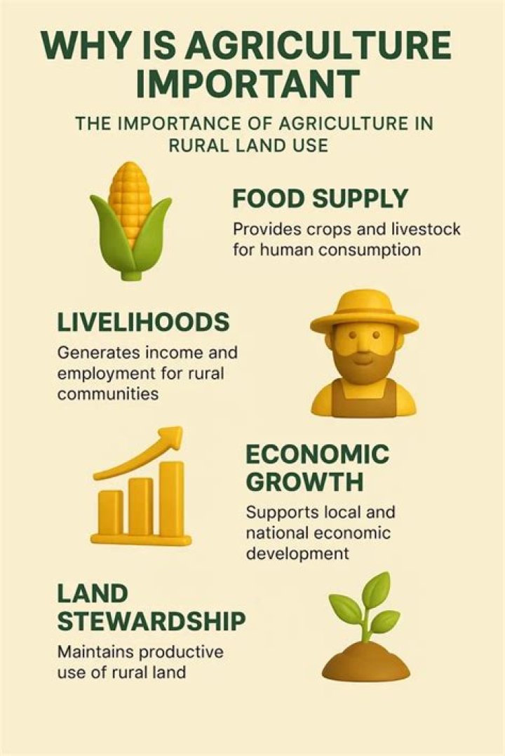 why agriculture is important essay