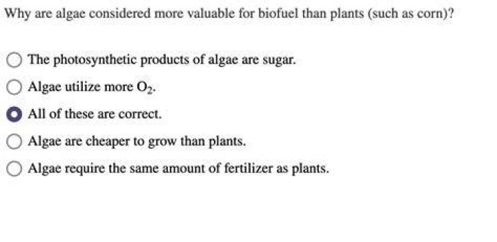 why are algae considered more valuable for biofuel than plants (such as corn)?