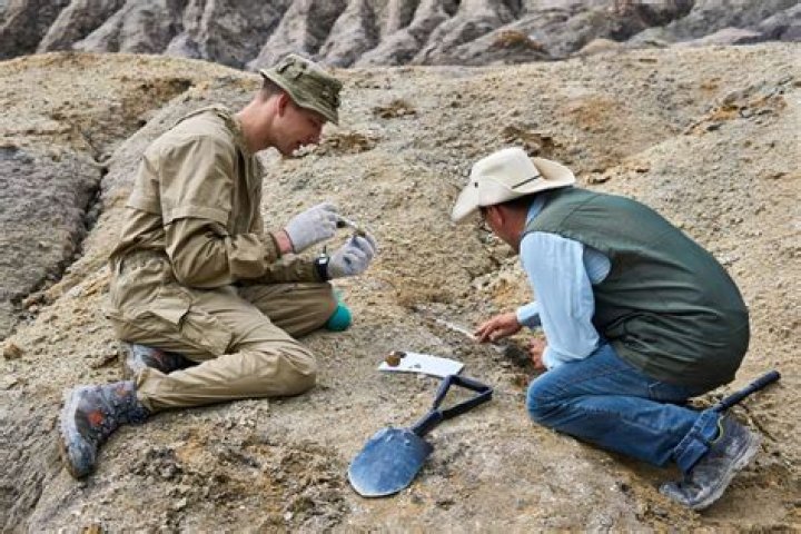 why are archaeologists important - Lisbd-net.com