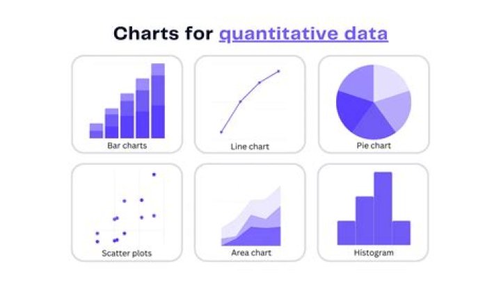 why are data organized into tables and graphs