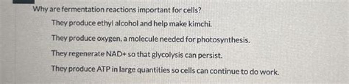 why are fermentation reactions important for cells