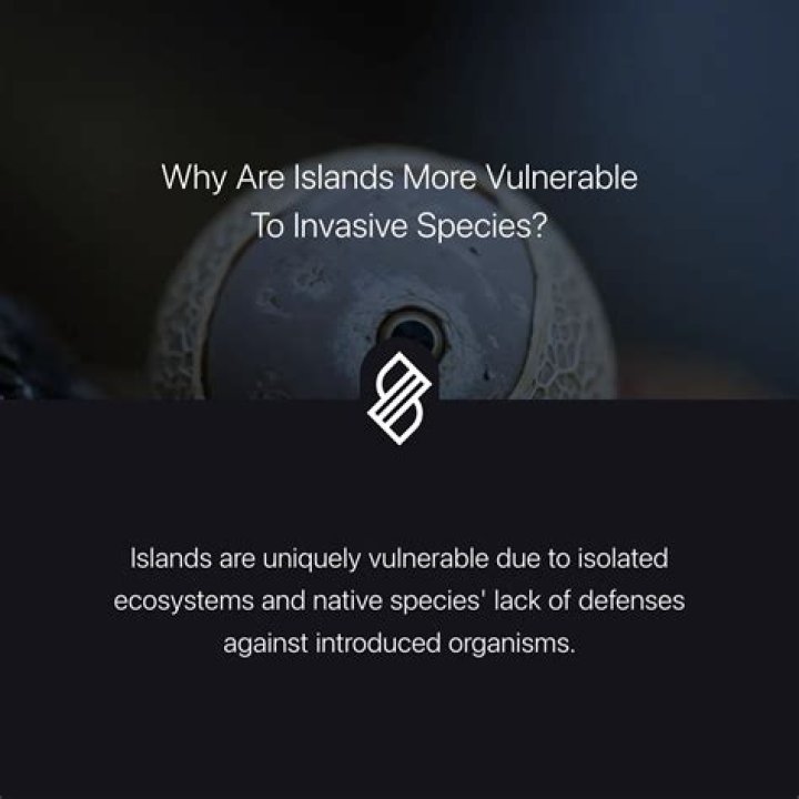 why are islands important - Lisbd-net.com