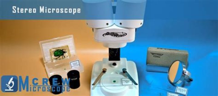 why are mirrors important to the function of the microscope