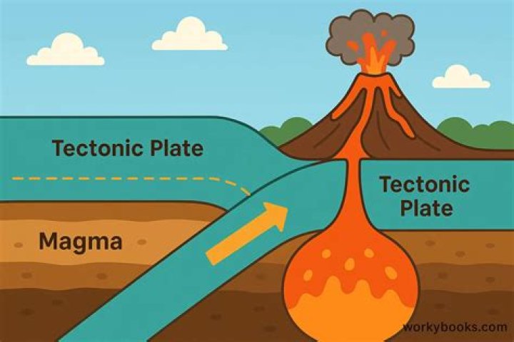 why are most undersea volcanoes found along the edges of earth's tectonic plates?