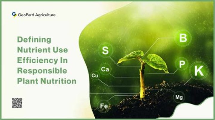 why are nutrient molecules important