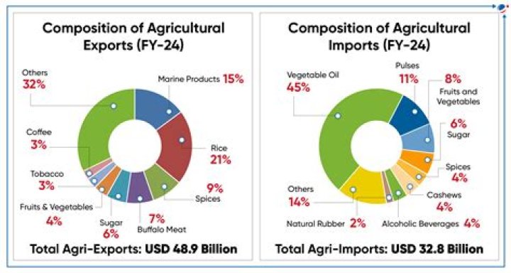 why are the activities of mediterranean europe limited to agricultural products such as wine