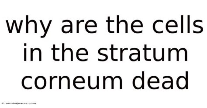 why are the cells in the stratum corneum dead?