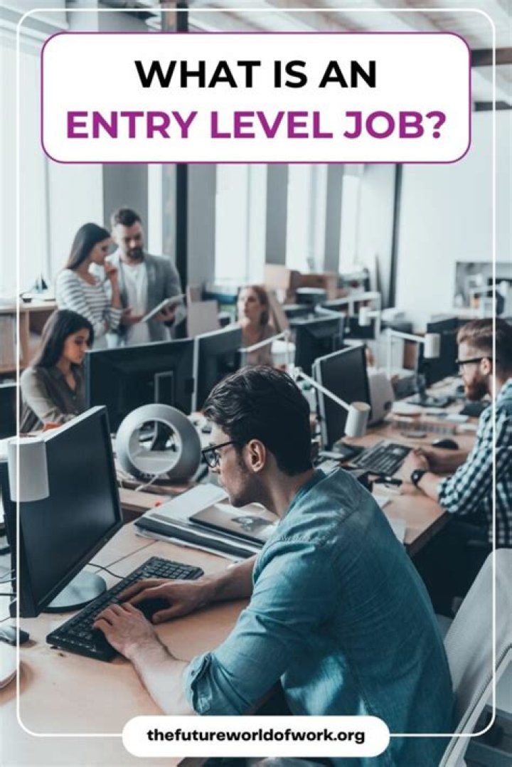 why are there no entry level jobs