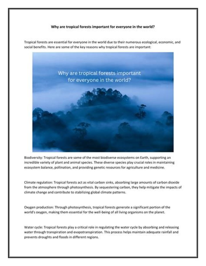 why are tropical forests important