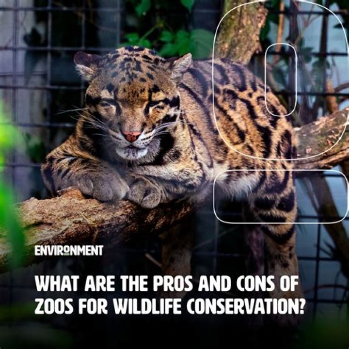why are zoos bad for animals facts