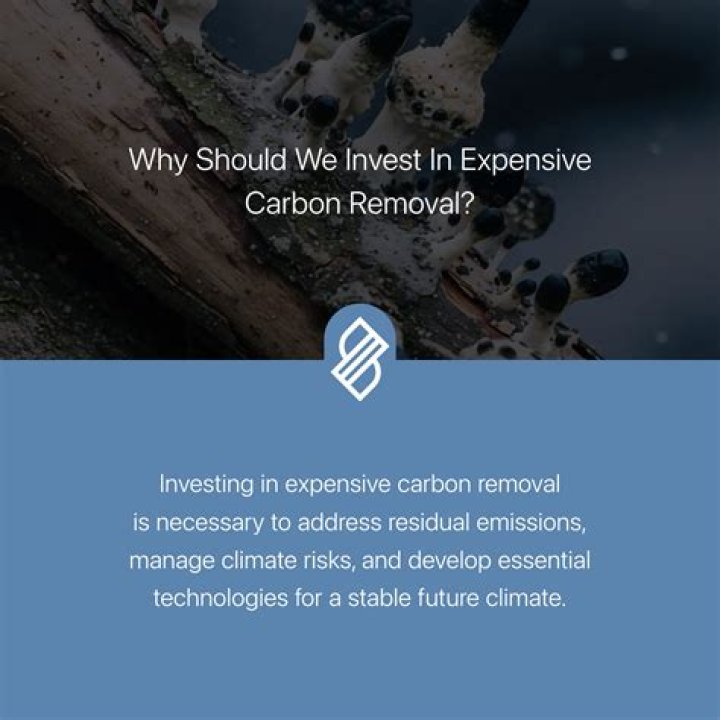 why can carbon bond to many elements simultaneously?