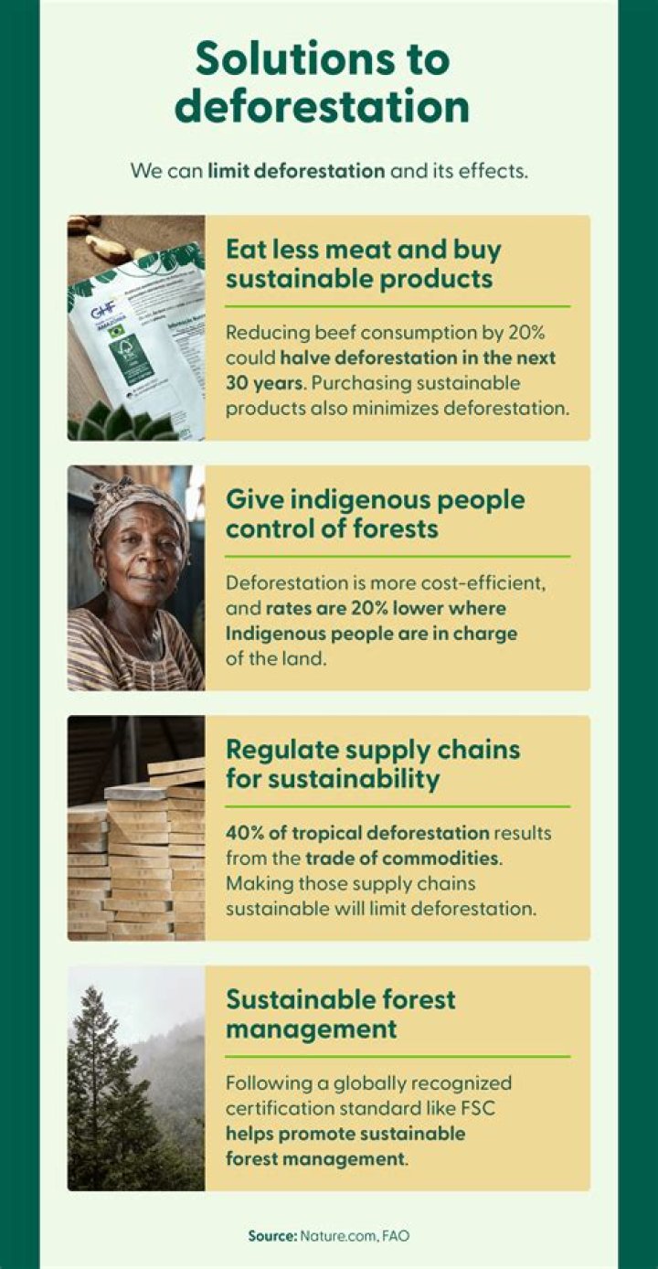 why deforestation is good - Lisbd-net.com