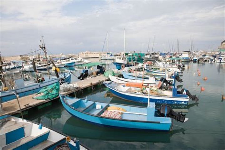 why did fishing become a major industry in new england