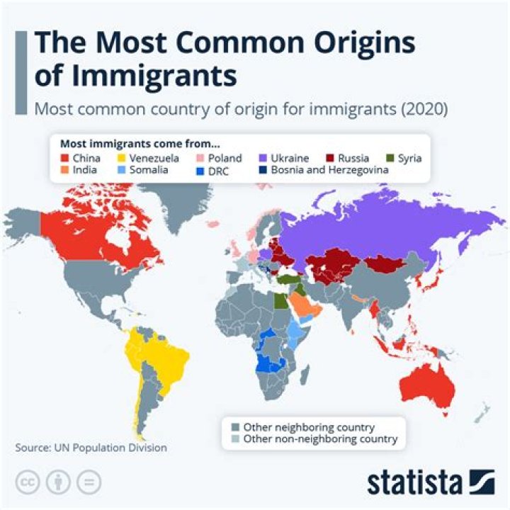 why did most new immigrants lived in cities?