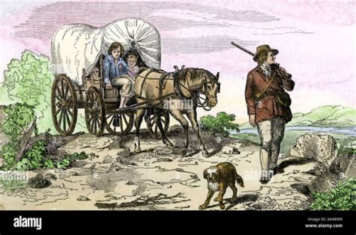 why did pioneers travel west