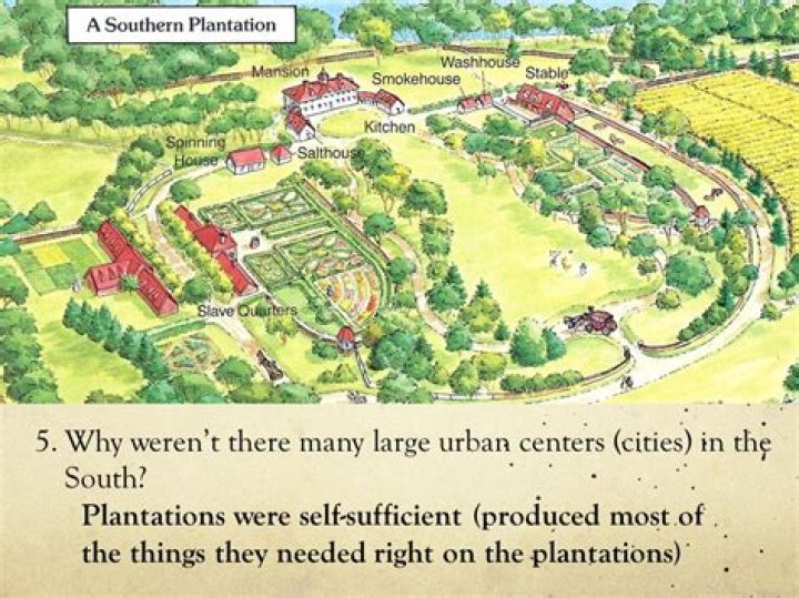 Why Did The Plantation System Develop In Virginia?