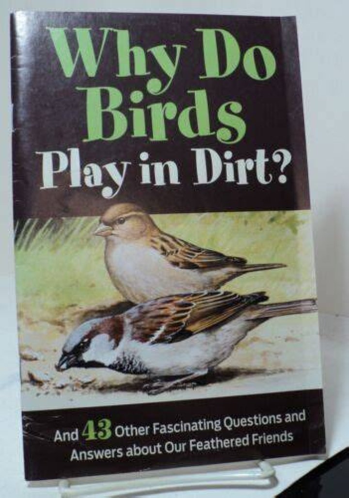 why do birds play in dirt