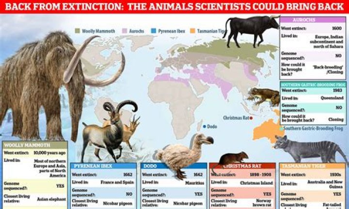 why do cloned animals die early