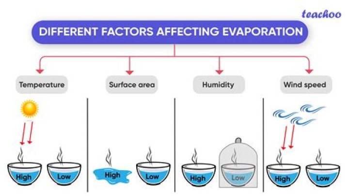 why do different liquids evaporate at different rates