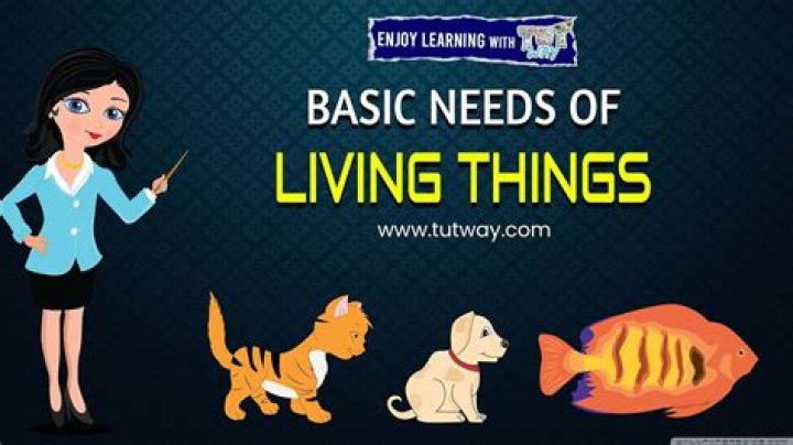 why do living things need food