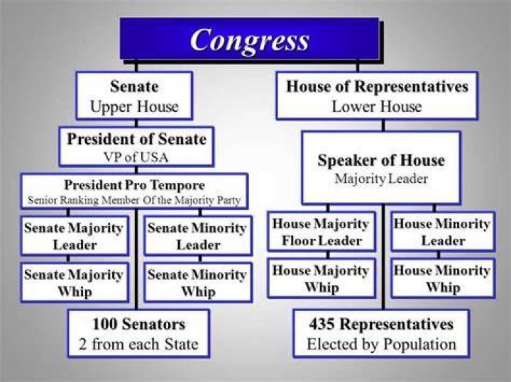 why do many members of congress often vote as partisans?